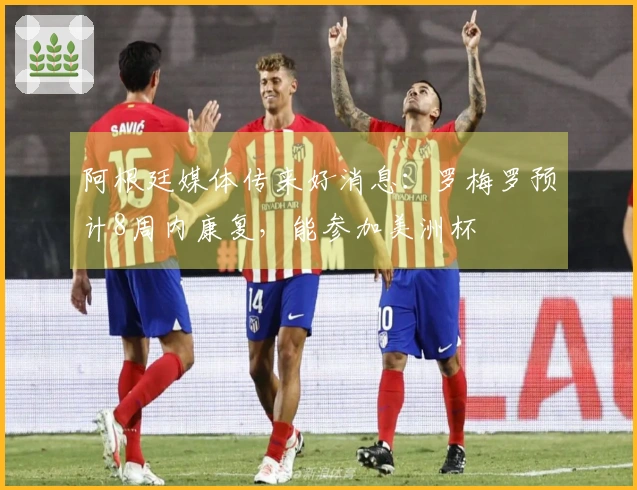 阿根廷媒体传来好消息：罗梅罗预计8周内康复，能参加美洲杯