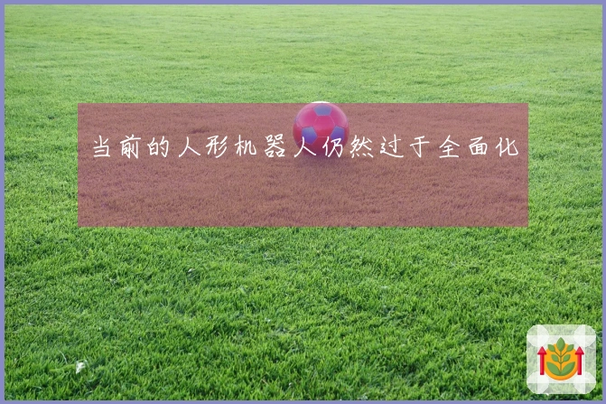 当前的人形机器人仍然过于全面化