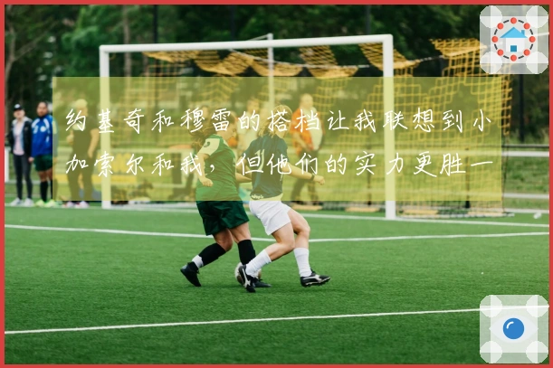 约基奇和穆雷的搭档让我联想到小加索尔和我，但他们的实力更胜一筹